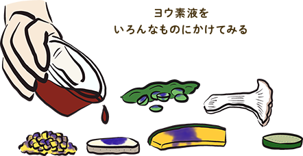 ヨウ素液をいろんなものにかけてみる